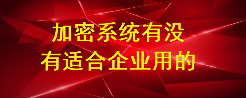 加密系統(tǒng)有沒有適合企業(yè)用的？