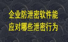 企業(yè)防泄密軟件能應(yīng)對(duì)哪些泄密行為？
